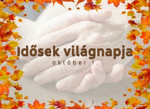 Idosekvilagnapja